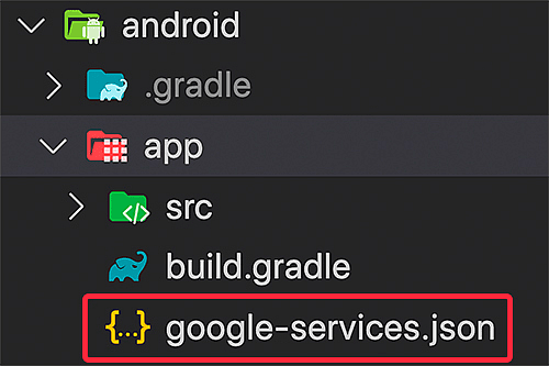 Store the google-services.json file in the android/app folder