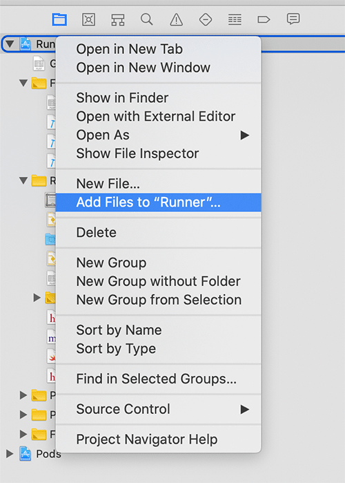 Add the config file to your Runner project via Add Files to