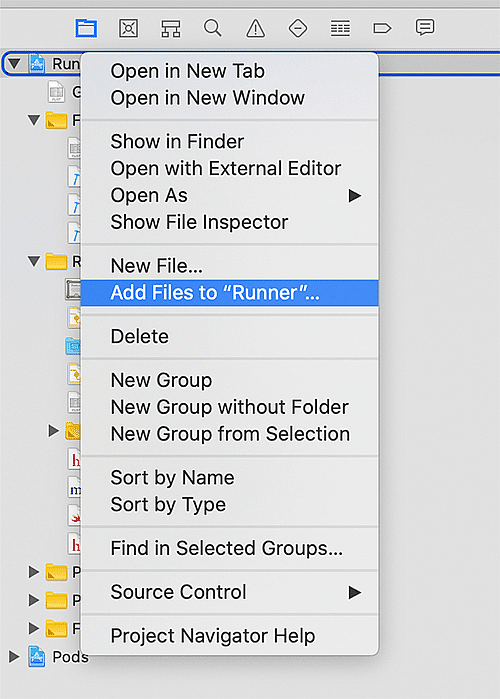 Add the config file to your Runner project via Add Files to