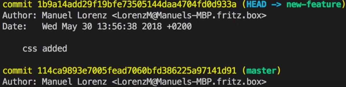 two Branches with two heads