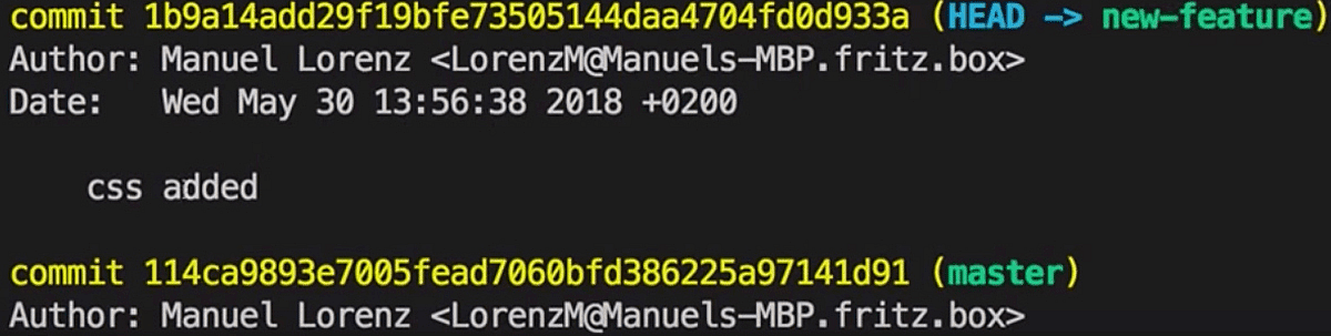 two Branches with two heads