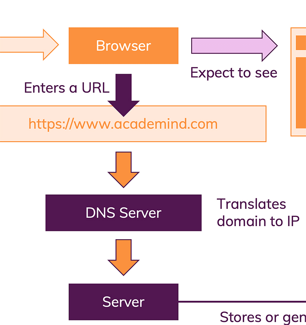 A DNS server translates the domain in the URL to an IP address.