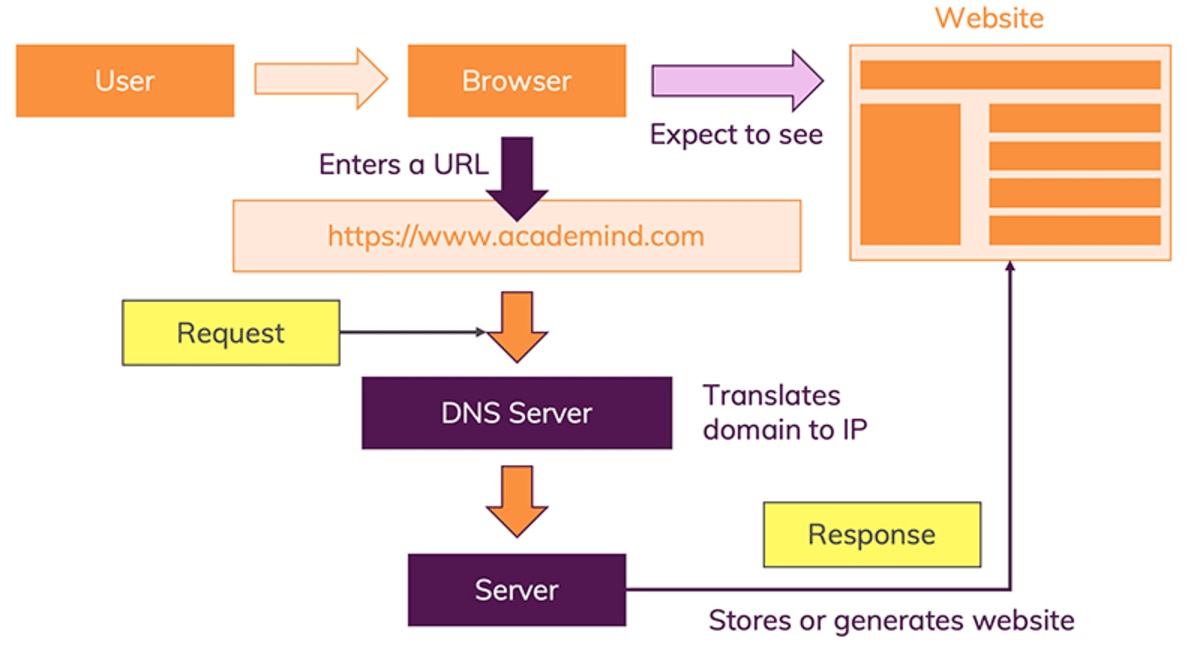 A server receives a request by the browser and responds with data - typically an HTML file which then can be parsed by the browser.