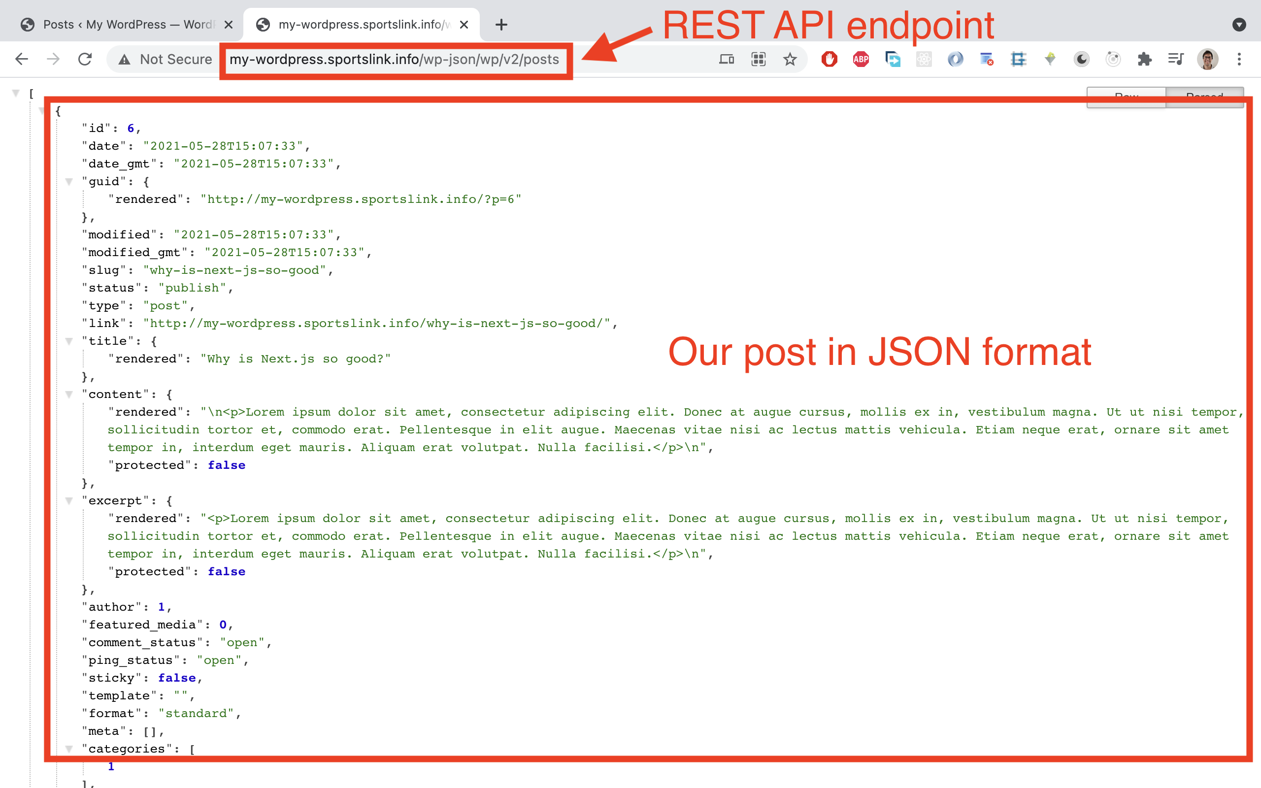 Sending a Http GET request to the /posts API endpoint should now yield the new post.