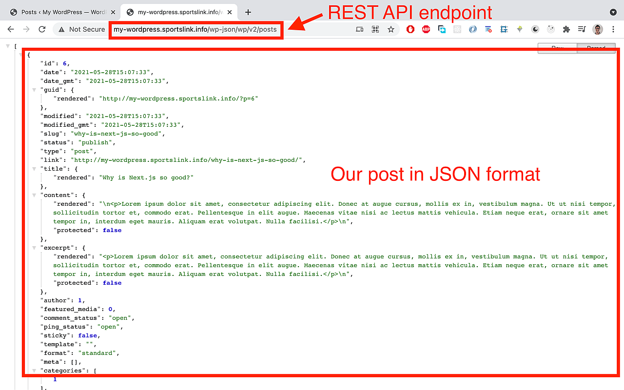 Sending a Http GET request to the /posts API endpoint should now yield the new post.