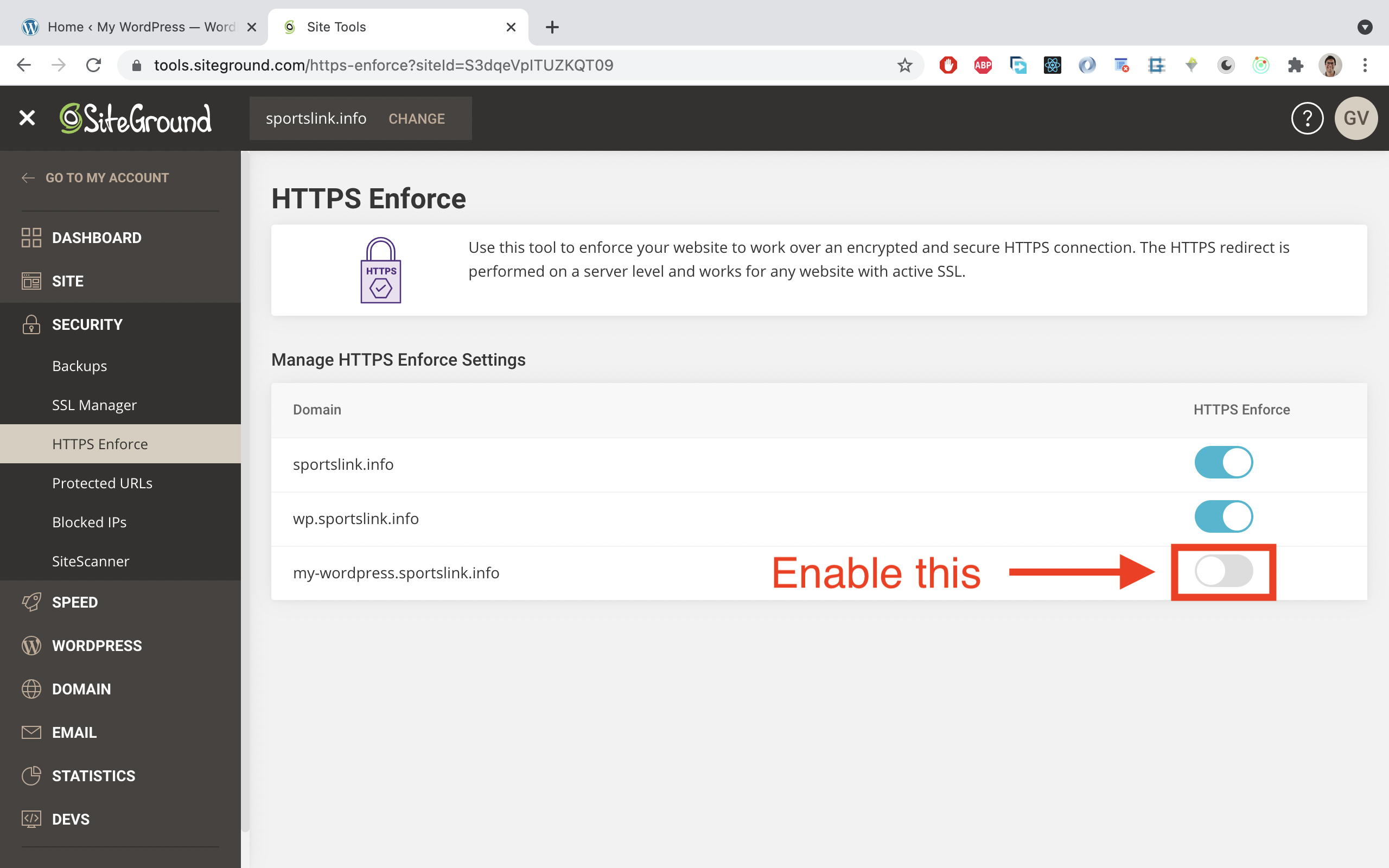 On the HTTPS Enforce page, enable it for your subdomain.