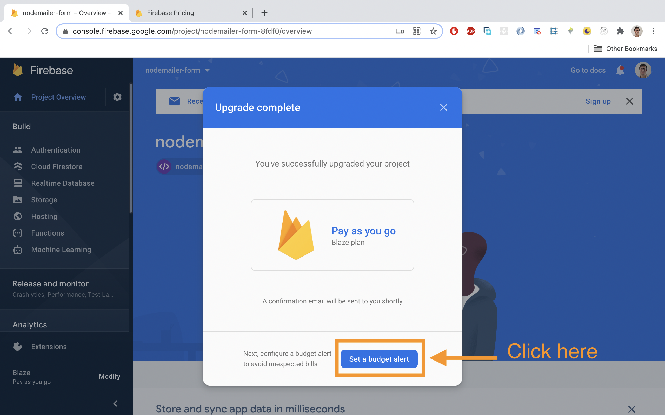 Click on 'Set a budget alert'