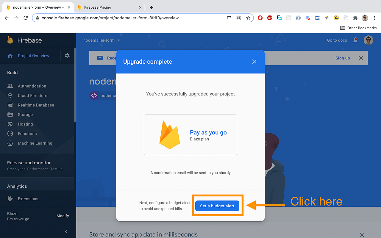Click on 'Set a budget alert'