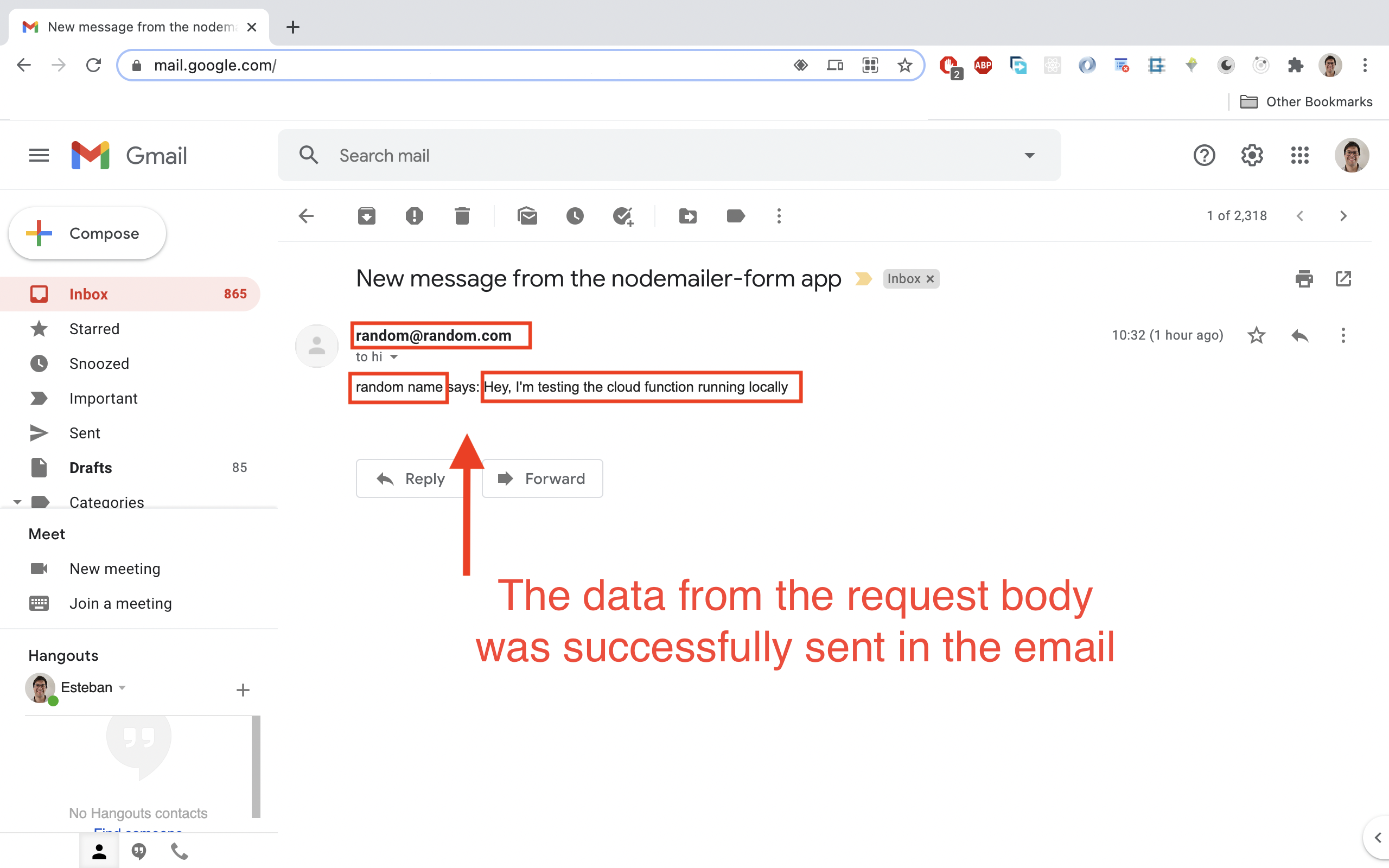 Open the email and you should see the request data in there.
