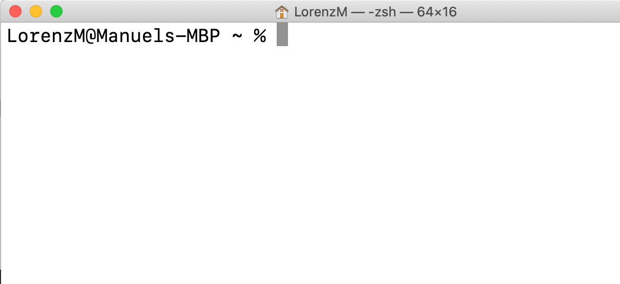 The macOS terminal