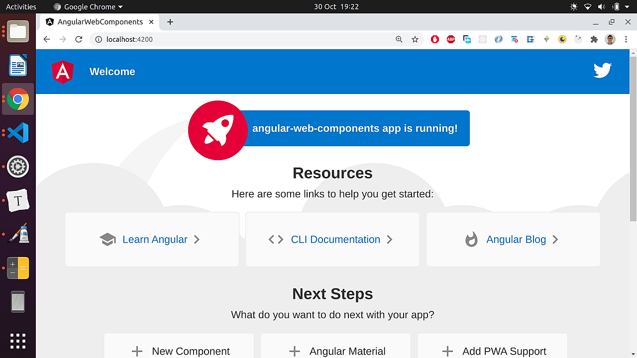 A plain Angular app running in the browser